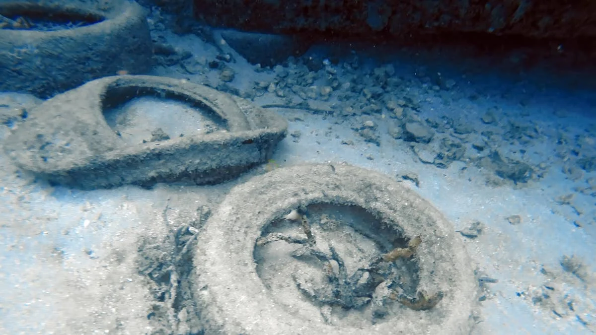 2 Million Tires Were Sunk Off Florida In The ‘70s. What Are They Doing Now?