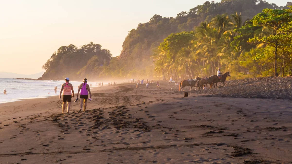 A Surfer's Romantic Gesture Sparks Coastal Reforestation in Costa Rica
